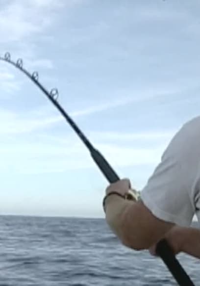 S01:E03 - Marlin Mission to Magdalena Bay: Part 2 poster