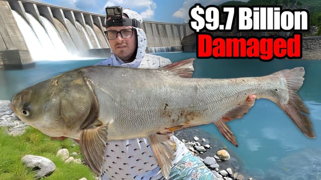 S01:E02 - Destructive Fish