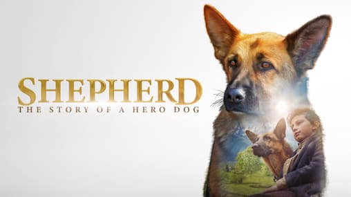 Watch Shepherd: The Story of a Hero Dog (2019) Free Movies Tubi