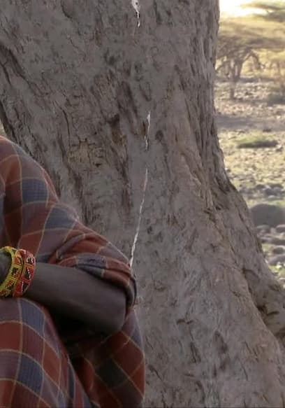 S01:E03 - Turkana: Vampires of the Desert poster