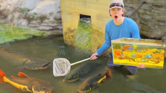 Bass Fishing Productions