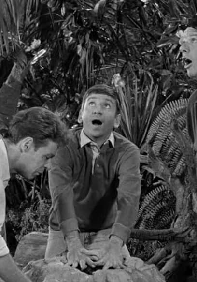S01:E19 - Gilligan Meets the Jungle Boy poster