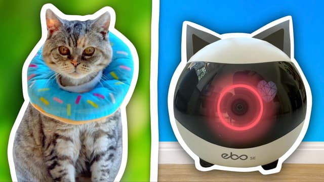 S01:E06 - I Used ROBOTS to Look After My Cats + Extreme LEGO Colour CHALLENGE!