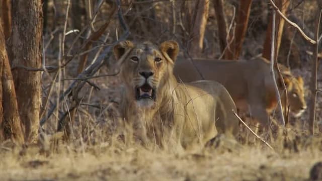 S01:E03 - Sobrevivientes