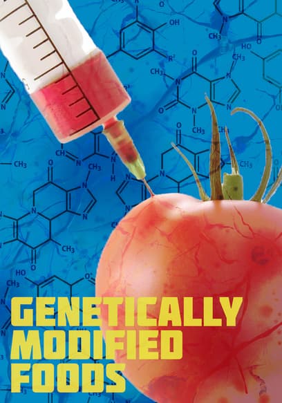 Genetically Modified Foods