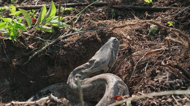 S04:E02 - Monster Highway