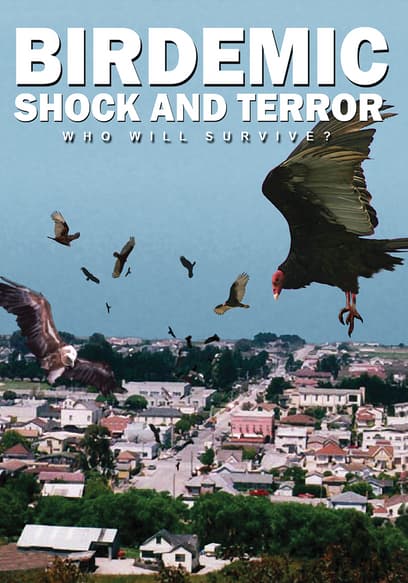 Birdemic: Shock and Terror