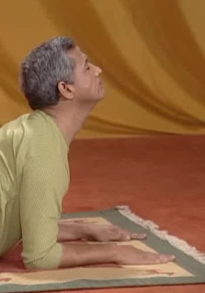 S01:E13 - Yoga for Strong Spine - the Various Asanas for Spinal Cord poster