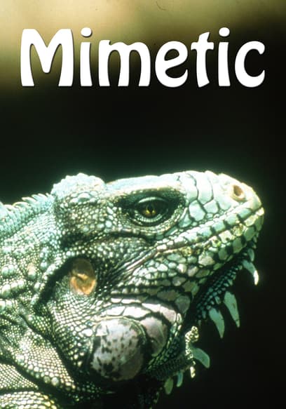 Mimetic