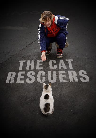 The Cat Rescuers