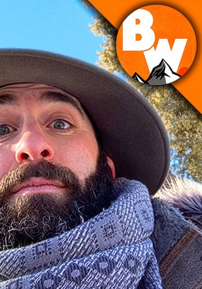 S01:E10 - Wild Canines: Western Coyotes and Clever Foxes poster