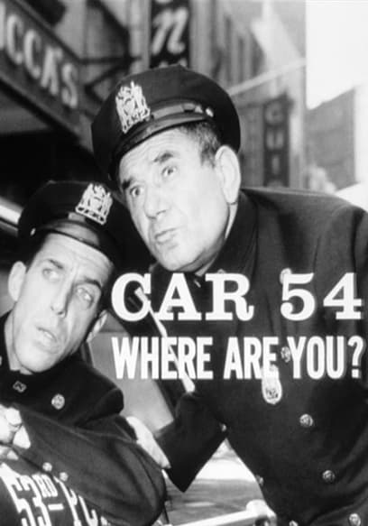 S01:E14 - Get Well, Officer Schnauser