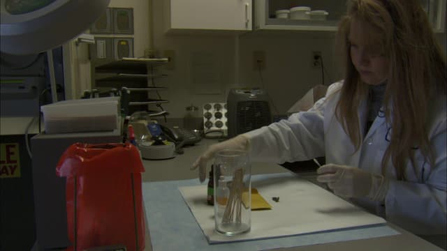 S06:E02 - The Interrogation / The Slide