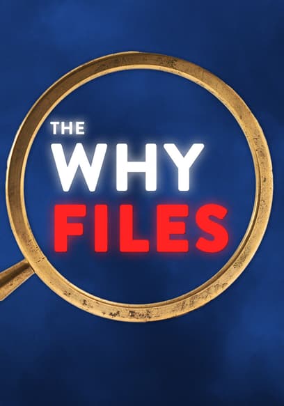 The Why Files