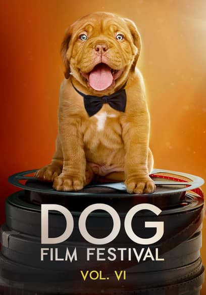 Dog Film Festival (Vol. 6)
