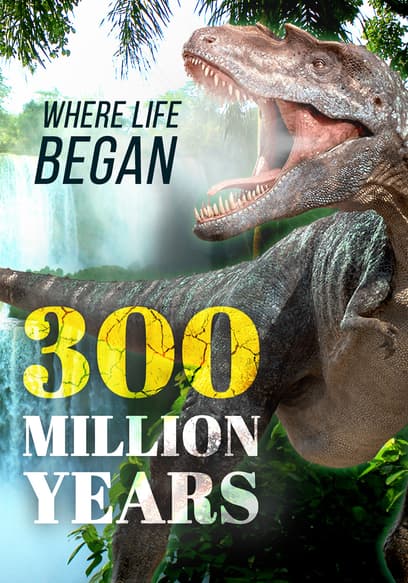 300 Million Years poster