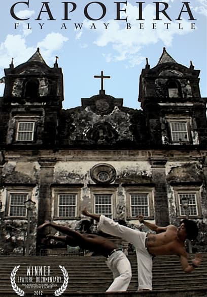 Capoeira: Fly Away Beetle