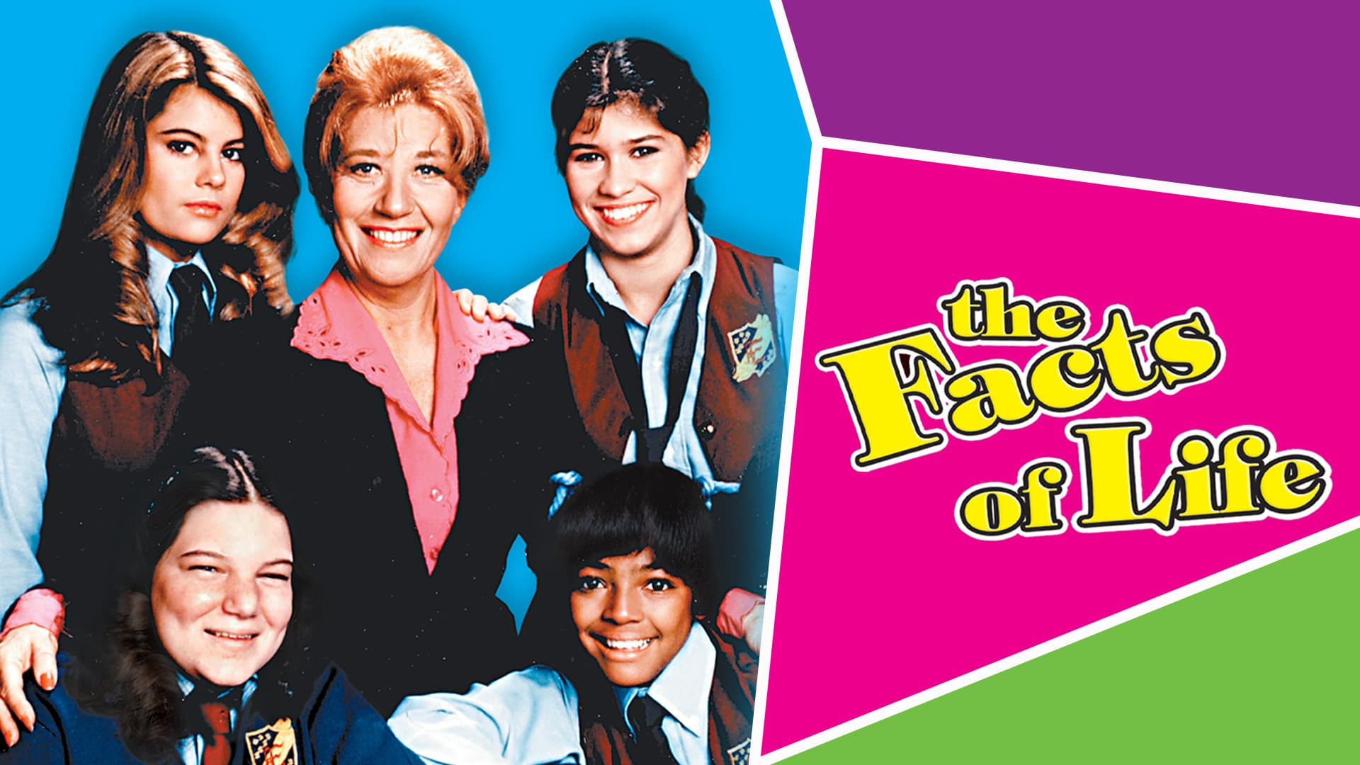 The Facts of Life (1979) poster