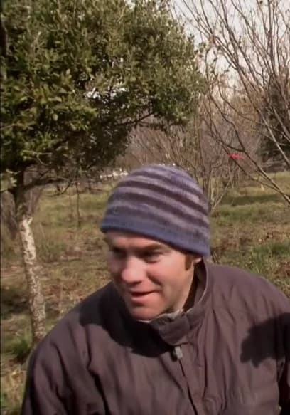 S01:E07 - Highland Deer poster