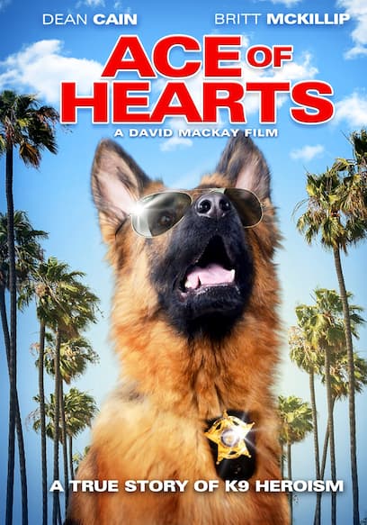 Ace Of Hearts