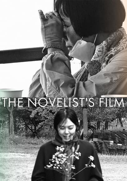 The Novelist's Film