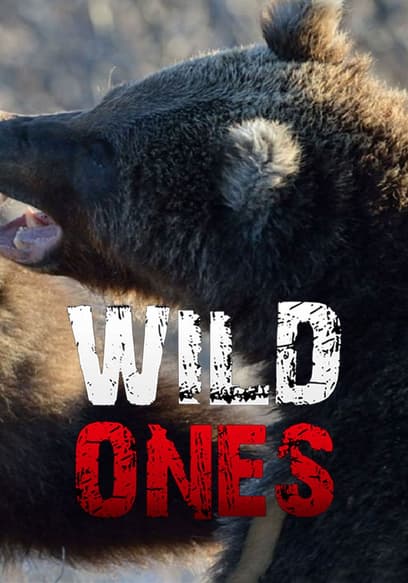 Wild Ones