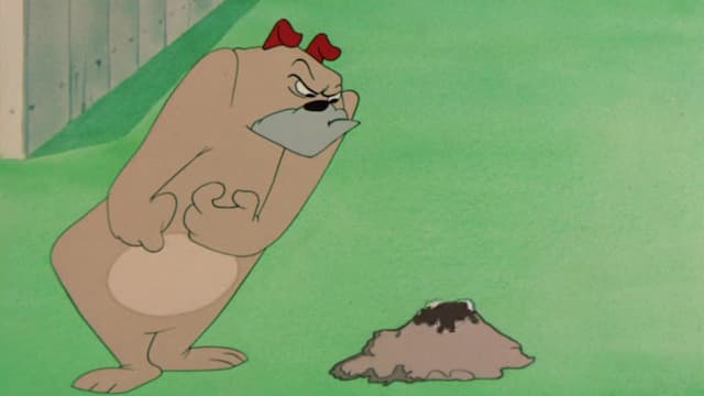 S07:E03 - The Framed Cat / Garden Gopher / Give and Tyke