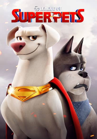 DC League of Super-Pets