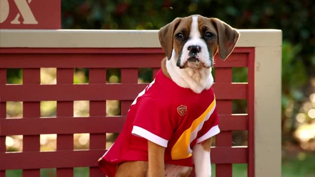 S02:E06 - Most Valuable Pup