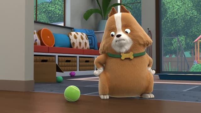 S01:E14 - Dog Gone Cat / Purst Games