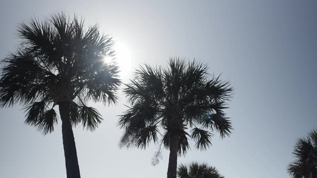 S01:E05 - Murderous Friendship