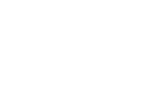 All the Wilderness