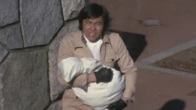 S01:E48 - The Terrifying Saucer Creature Series! The Monstrous Bird Saucer Attacks the Japanese Archipelago!