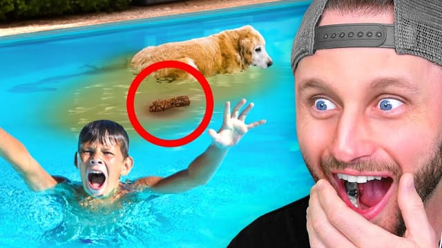 S03:E17 - People Having a Bad Day