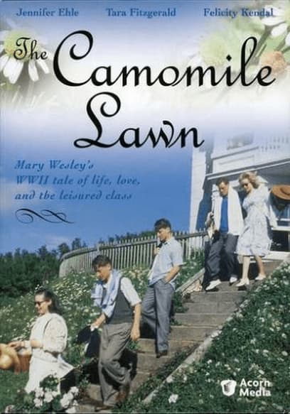 The Camomile Lawn poster