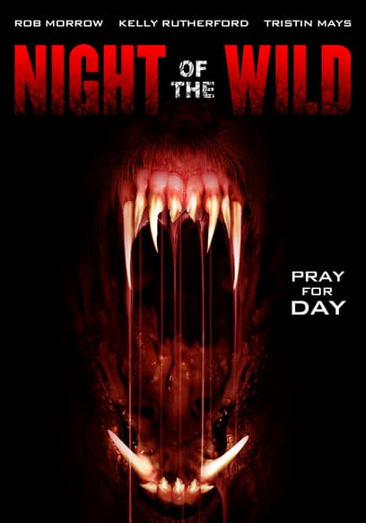 Night of the Wild