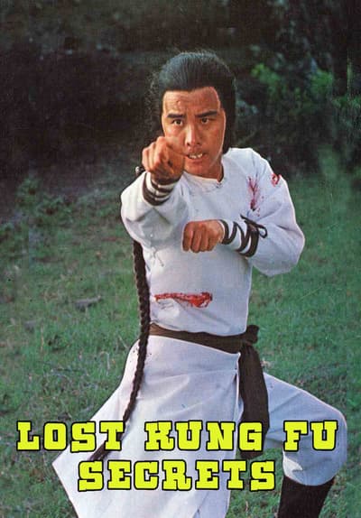 Lost Kung Fu Secrets