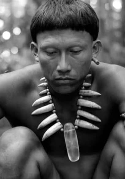 Embrace of the Serpent Trailer