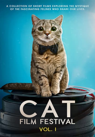 Cat Film Festival (Vol. 1)