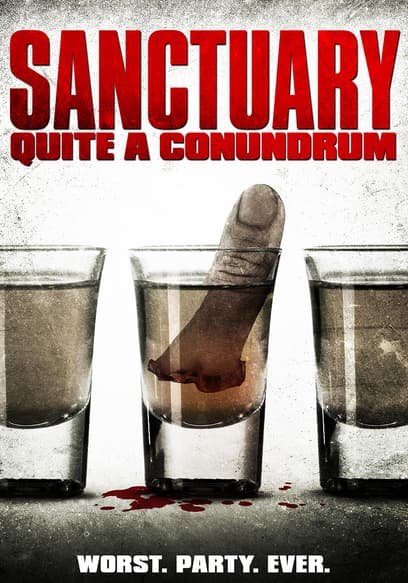 Sanctuary: Quite a Conundrum poster