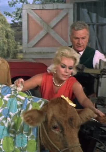 Póster de S01:E12 - Lisa Has a Calf