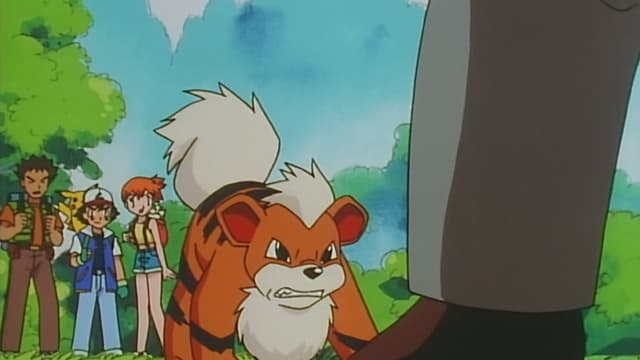S01:E49 - The Case of the K-9 Caper