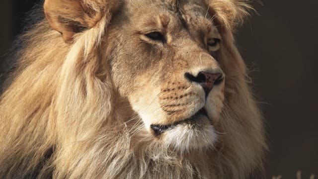 S01:E02 - Grassland Predators