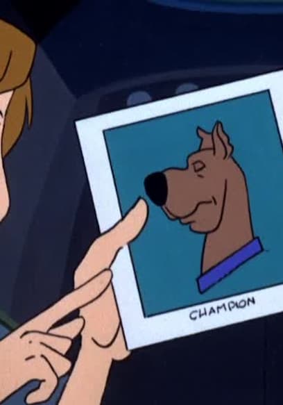 S01:E05 - Decoy for a Dognapper poster