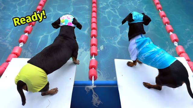 S01:E01 - Wienerlympics