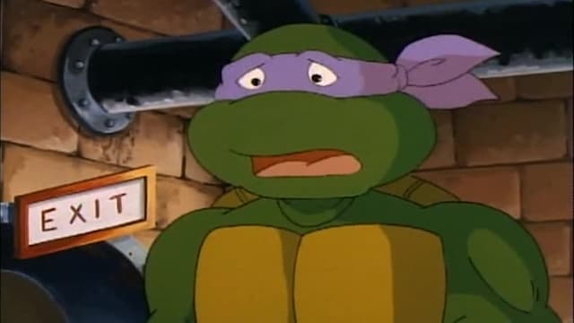 S06:E08 - Donatello Trashes Slash