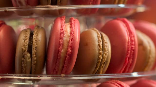 S15:E11 - Macaron Mayhem