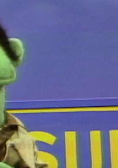S10:E70 - Big Bird Gets His Tonsils Removed poster