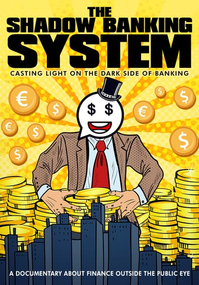 The Shadow Banking System