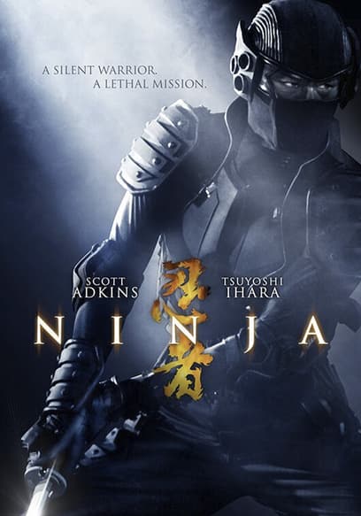 Ninja (Español) poster